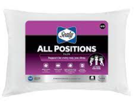 Sealy Standard/Queen Size Pillow 20x28 Inch