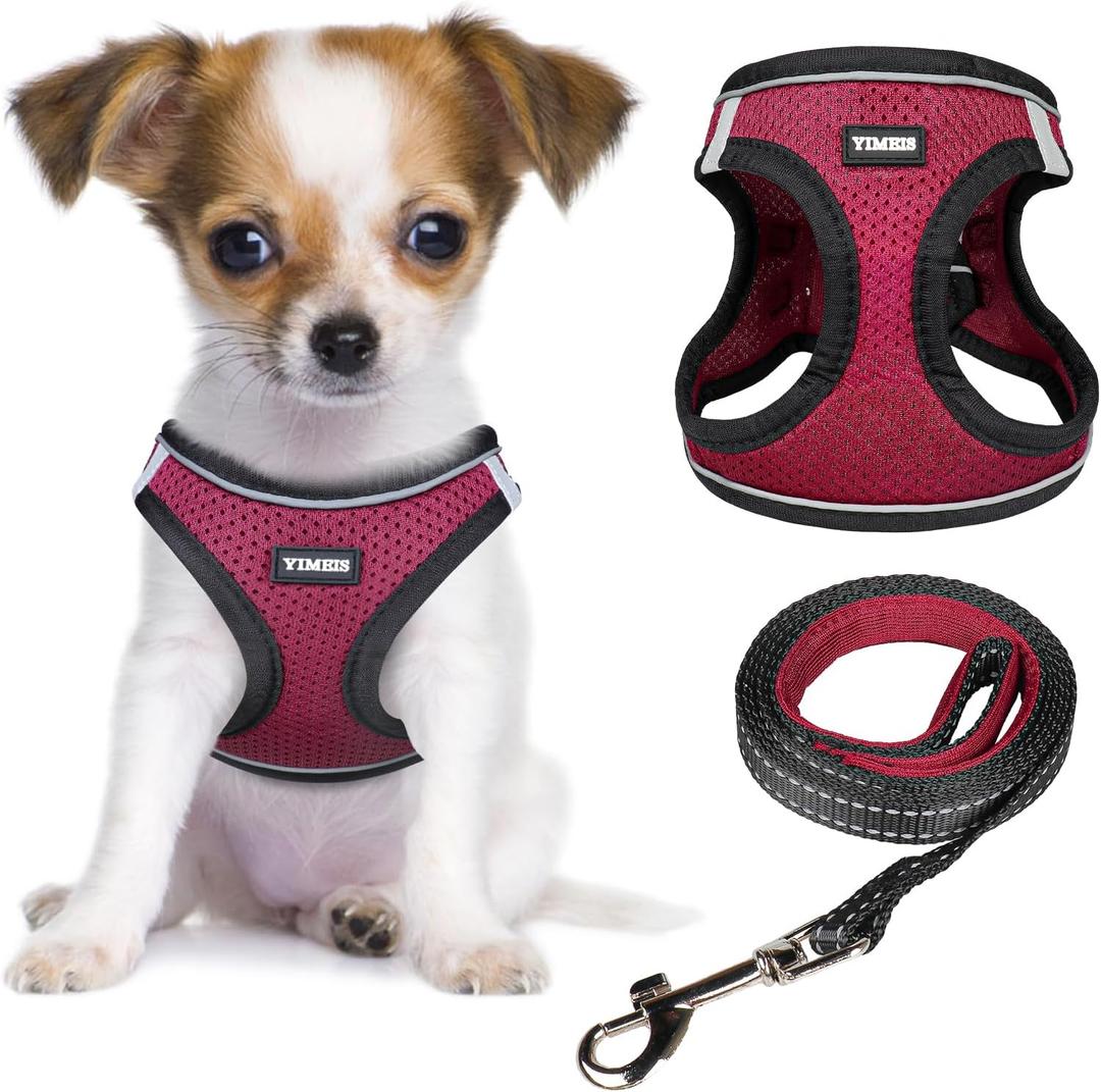 YIMEIS Dog Harness and Leash Set, No Pull Soft Mesh Pet Harness, Reflective Adjustable Puppy Vest for Dogs, Cats (Grape Purple, X-Small (Pack of 1)