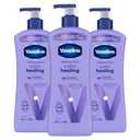 Vaseline Intensive Care Calm Healing Body Lotion 3 count for Dry Skin Made with Ultra-Hydrating Lipids and Lavender Extract to Heal and Restore Dry Skin 20.3 oz
