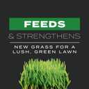 Scotts Turf Builder Triple Action Built for Seeding - Weed Preventer and Fertilizer for New Lawns, Lawn Food, 4,000 sq. ft., 17.2 lb.
