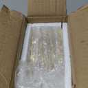 Caeuiciw 6 Pcs Pressed Flowers Glass Frames 3.5 x 2.5 Inch Brass Hanging Photo Frame with Chain Arched Double Floating Picture Frames for Artwork Display DIY Dried Plant Specimen