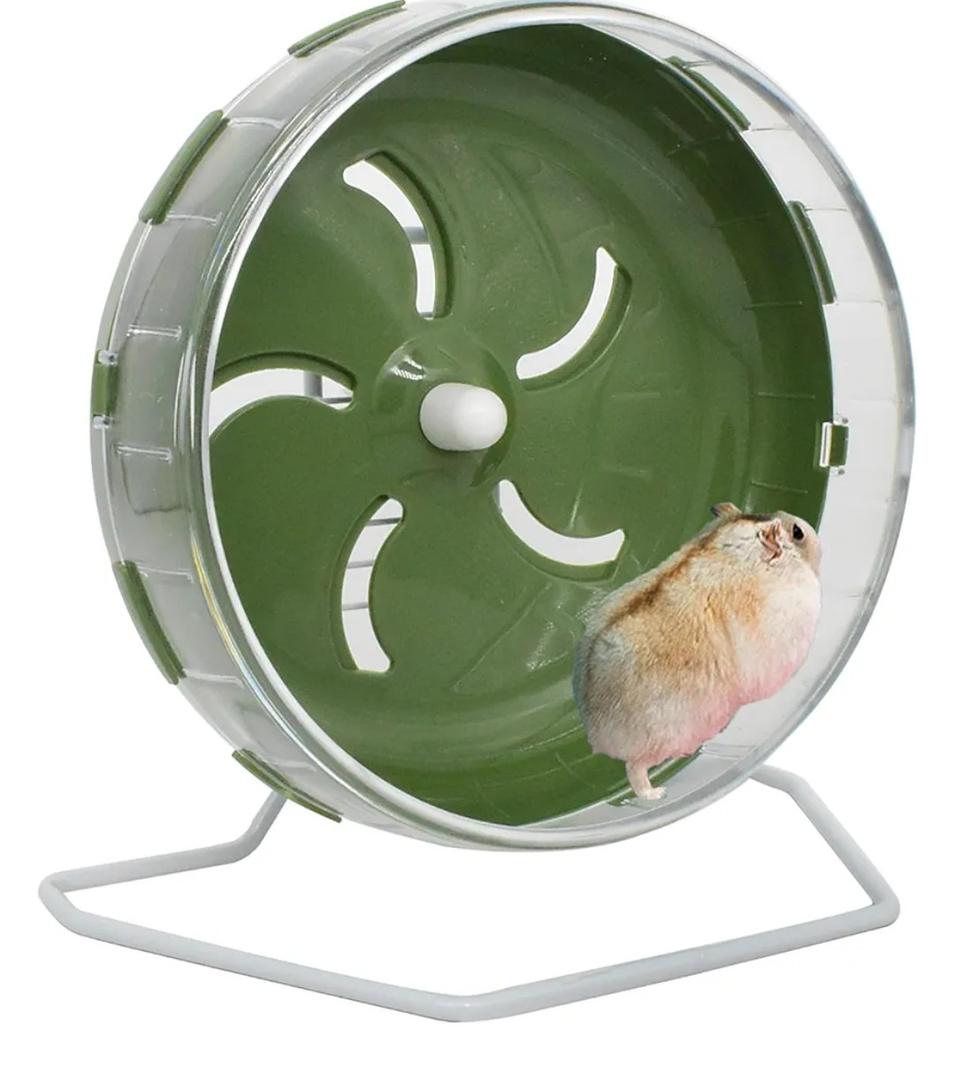 GKYZBB Hamster Wheel, 8.5 inch Silent Hamster Exercise Running Wheel with Stand,Pet Small Animals Exercise Running Toys,Adjustable Quiet Spinner for Guinea Pigs, Sugar Gliders, Gerbils (Green, 8.5in)