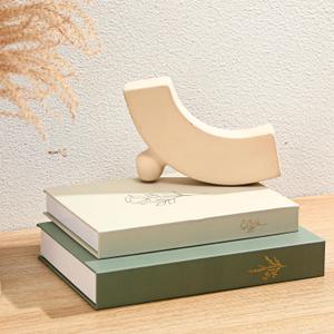 2 x Cinnvoice Set of 2 Aesthetic Decorative Books Boxes, Faux Books Stacked for Decoration for Coffee Tables Modern Home Bookshelves Decor, Fake Fashion Photo Storage Boxes(Sage Green Beige)