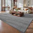Pettop 5x7 Grey Area Rugs for Living Room Bedroom, Thickened Memory-Foam Throw Carpet, Modern Minimalist Super Soft Kids Boys Girls Rug, Non-Slip and Washable Carpets for Dorm Home Decor, Gray