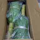 Artificial Plant Artificial Agave Plants,2PCS Faux Plants for Outdoors Artificial Plant Outdoor Large UV Resistant Fake Agave Planters for Indoor and Outdoor Decorating Outdoors Plants 22"