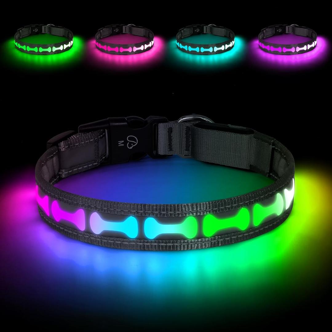 Flashseen LED Dog Collar Light Up USB-C Rechargeable, RGB 7 Colors 3 Modes Glow in The Dark Collar, Adjustable 360 Visibility Glowing Collars for Night Walking for Dogs (Grey, Small)