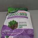 Scotts Turf Builder Grass Seed Perennial Ryegrass Mix with Fertilizer and Soil Improver, Establishes Quickly, 5.6 lbs.