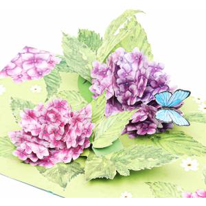 2 x Liif Hydrangea Blossoms Butterfly 3D Greeting Pop Up Mother's Day Card, Spring, Summer, Anniversary, Fathers Day, Get Well, Thinking Of You,With Message Note & Envelop,Large Size 8x6 Inch (Purple & Pink)