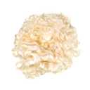 BESPORTBLE Judge Role Play Wig for Men Powdered Lawyer Cosplay Headwear Historical Costume Accessory Heat Resistant for Halloween and Themed Parties