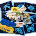 Insect Xrays  Bug Science Kit - Bug Detectives for Kids, Light Table Accessories, STEM Learning Insect X-Ray Set