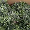 VOPVZVKO Two Artificial Outdoor 4' Spiral Boxwood Topiary UV Rated! Free Returns!
