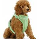 Wisedog No Pull Lightweight Dog Vest Harness with Soft and Comfortable Cushion, Breathable Mesh, for Small Dogs Walking (S(Neck: 9.84"-14.17"; Chest: 14.17"-22.05"), Sage Green)