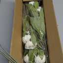 VIERENA 6 Pcs Faux Silk Peony Artificial Flowers for Vase -27", Bulk Fake Peonies Branches with Stems for DIY Bouquet Centerpieces Wedding Fillers Arrangements Shower Decorations (Cream)