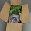 alyptus Fake Pothos Hanging Plants  33" Set of 2 Faux Ivy Vines with Pots Realistic Silk Devils Ivy for Indoor Dcor Low Maintenance Artificial House Plants for Home Bathroom or Office - Green