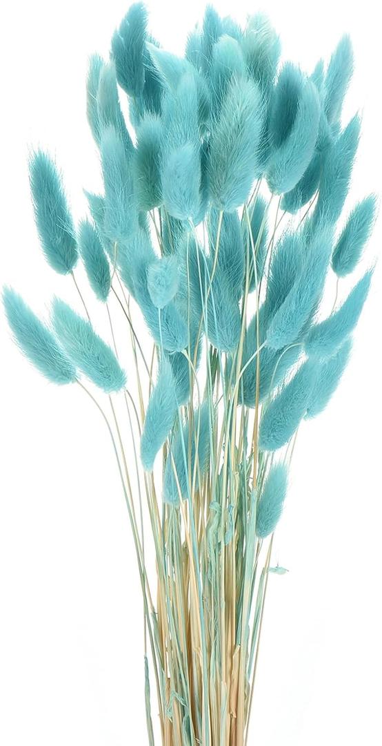 MECCANIXITY 60pcs Natural Rabbit Bunny Tails Dried Flowers 17" Mini Pampas Grass Lagurus Ovatus Bunch for Floral Wedding Decor Christmas, Light Blue