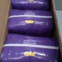 Amazon Basics Incontinence Underwear for Women, Protective, Disposable, Postpartum, Maximum Absorbency, X-Large, Lavender, 48 Count (3 Packs of 16)