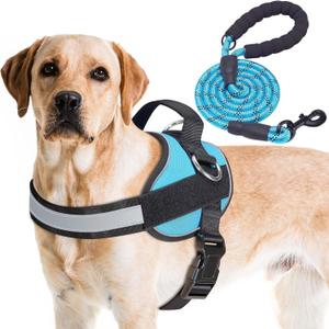 Haapaw Essential Dog Harness, No Pull Pet Vest with 3 Leash Clips, No Choke, Reflective, Adjustable and Padded, for Easy Walking and Training for Large Dogs(L, Blue)