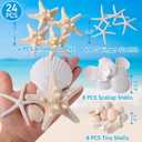 24PCS Sea Shells for Crafts Decoration - Real White Natural 2"-5" Scallop Shells and Starfish Coastal Christmas Craft Supplies, Beach Party, Painting, Easter DIY, Vase,Baking Shells, Birthday Gift