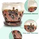 Vensovo 5 Inch Ceramic Orchid Pots with Holes and Saucers - 1 Pcs Small Succulent Pot for Repotting, Garden Flowerpots for Plants Indoor and Outdoor Promotes Air Circulation, Brown Mixed