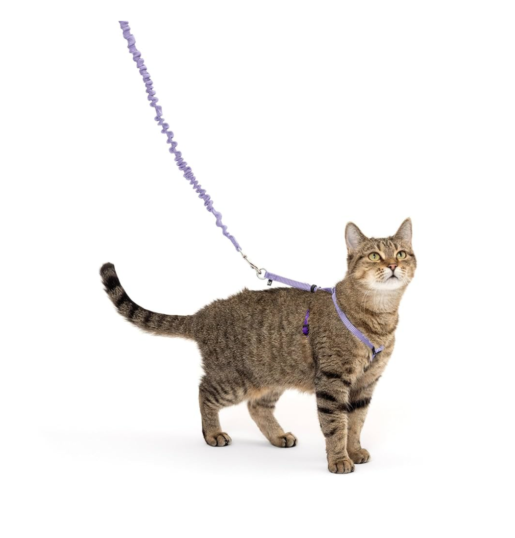 PetSafe Come with Me Kitty Cat Harness & Bungee Leash - Comfortable No-Choke Harness with Lightweight Bungee Leash for Outdoor Fun - Escape Free Pulling Prevention - Small - Lilac