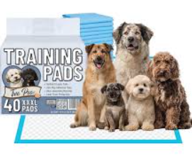 Training Pads 40 XXXL PADS