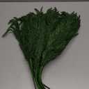 Trytuny Christmas Norfolk Pine Branches, 12 Bundles Artificial Xmas Greenery Leaves Stems and 2PCS Tree Branches for DIY Garlands, Wreaths, Crafts, Holiday and Home Centerpiece Table Decorations