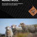 DANISH ENDURANCE Merino Wool Beanie for Men & Women, Warm Knitted Winter Hat (Black)