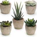 Coitak Artificial Succulent Plants Potted, Assorted Decorative Faux Succulent Potted Fake Cactus Cacti Plants with Pots, Set of 5