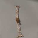 Slim Resin Band Compatible With Apple Watch Band Women 38mm 40mm 41mm 42mm 44mm 45mm 46mm, 14mm Thin Tortoise Lightweight Bracelet Dressy Strap for iWatch Bands Series 11 10 SE 2nd/3 9 8 7 6 5 4 3 (Cow pattern)