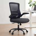 Office Desk Chair for Long Hours & Lower Back Pain Relief 4 Thick Molded Foam Cushion, Enhanced Lumbar Support, Padded Flip-up Armrests, Ideal for Office or Study, Black, Medium