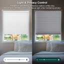 CHICOLOGY Cellular Shades Cordless Honeycomb Blinds, Blackout or Light Filtering Window Shades for Home, Bedroom, Living Room, Kitchen, Office & Door Windows Evening Mist, 38" W x 48" H