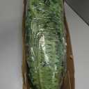 Dkaltm Single Silky Artificial Boston Fern Bush, 49Inch Large Artificial Ferns for Outdoors, Large Faux Ferns Artificial Plants, Suitable for Decorating Office, Living Room Faux Greenery, 95Branches