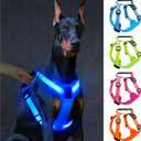 Light Up Dog Harness, Led No Pull Dog Harness with Handle Reflective Glow-in-The-Dark for Night Walking, USB Rechargeable Lighted Vest for Medium Large Dogs, Adjustable Soft Illuminated(Blue, Large)
