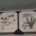 Framed Botanical Floral Wall Art, 4 Piece Vintage Flower Canvas Painting Prints for Bedroom, Rustic Floral Butterfly Pictures for Farmhouse Kitchen Living Room Dining Room Hallway Wall Decor, 11x14 In