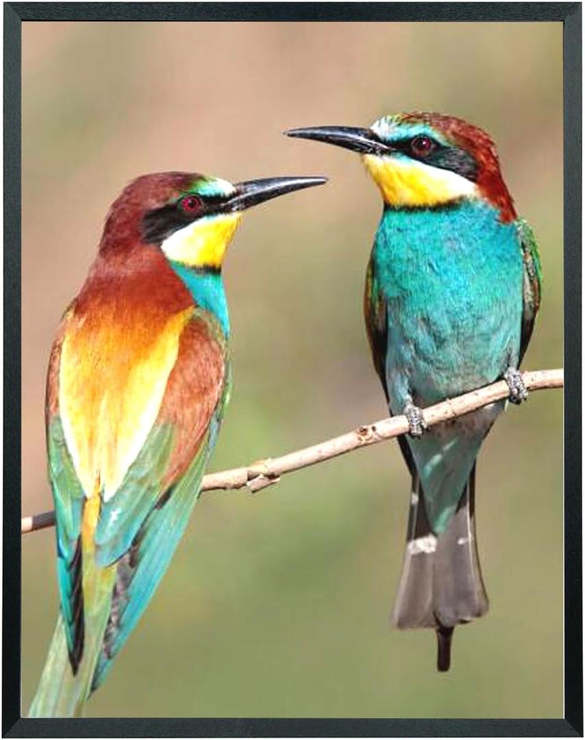 Mxtallup 19x24 Picture Frame Solid Wood Poster Frame for Wall 19x24 Photo Frames Family Black (T22B1924)