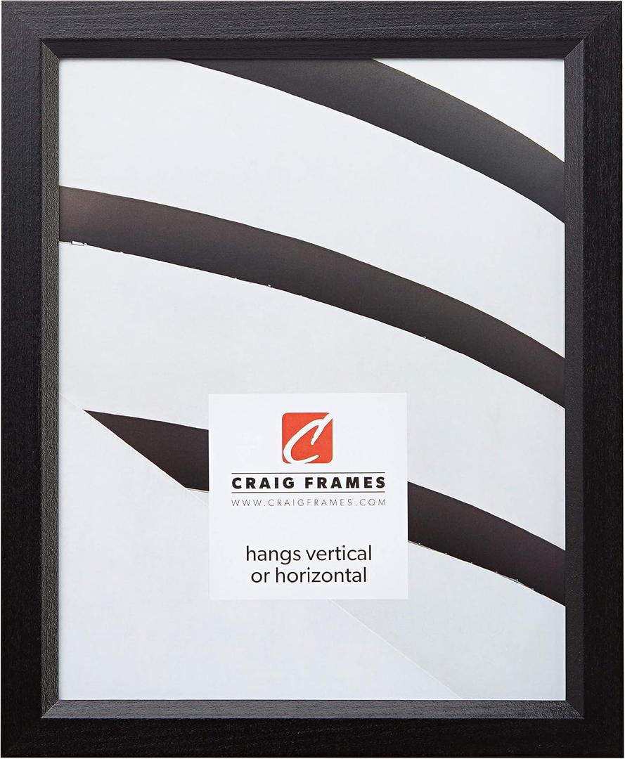 Craig Frames 7171610BK Wood Grain Finish 16 by 19-Inch Picture/Poster Frame, 0.825-Inch Wide, Solid Black 