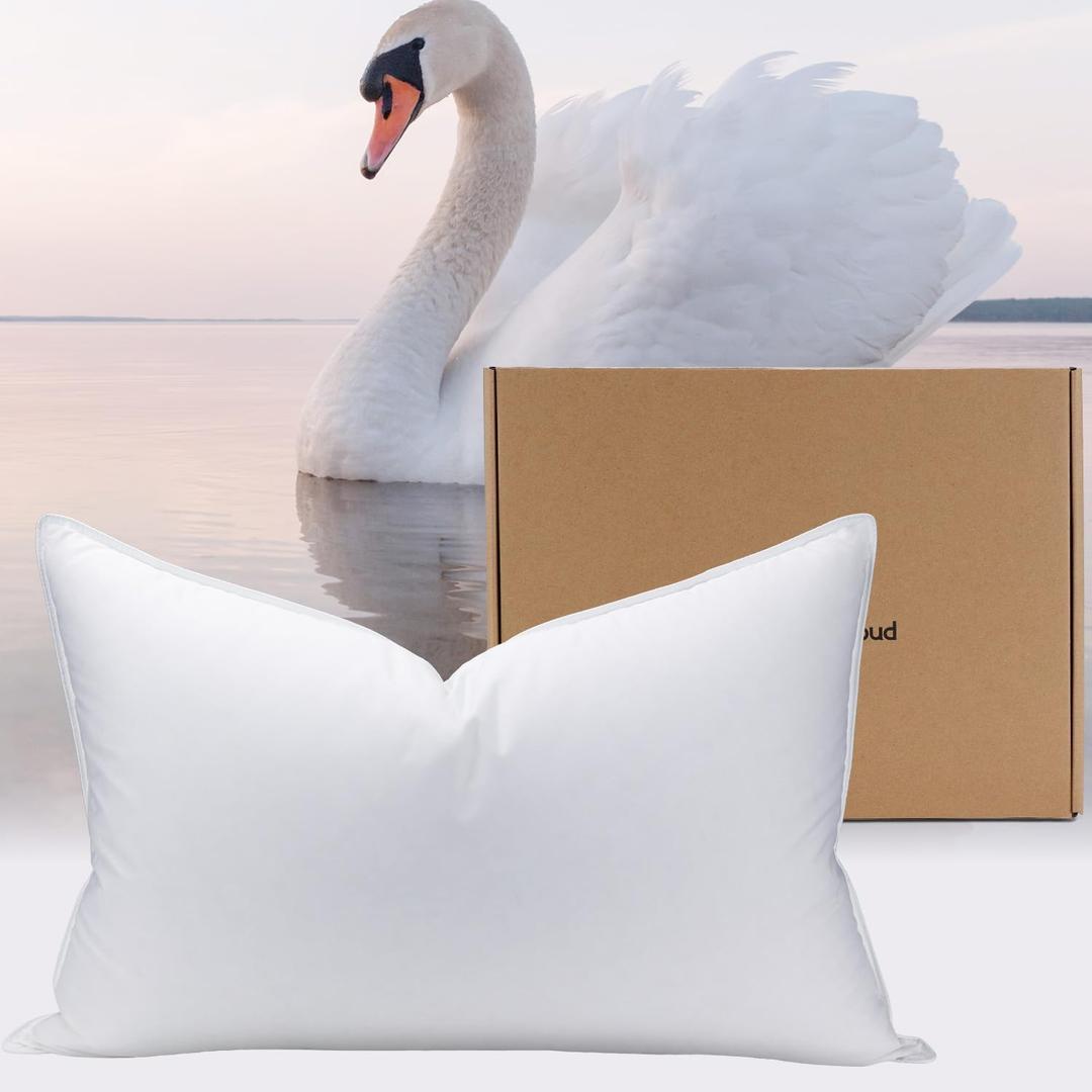 White Goose Down Pillow Luxury Hotel Bed Pillow with 100% 800+ Fill Power, Goose Down Fiber Pillow for Sleeping, 700TC Cotton Shell, Queen Size - Firm/More Support, 1 Pack