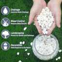 Mulctun 2Lb White Rocks for Plants, 1/4"-3/4" White Pebbles, Decorative Stones for Vases, Small Aquarium Gravel for Fish Tank Garden Rocks for Potted Plants & Home Decor