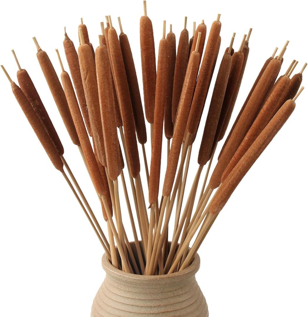 Dried Natural Cattails - 20PCS for DIY Floral Arrangements and Home Office Decor - 17 Inch Length