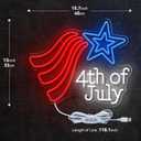 Neon Sign Outdoor for Wall Decor, Dimmable Neon Light Sign for Home Decoration, USB Power Light Home Table Decor for Living Room Dining Table for American Festival Celebration Home Decor 15.7"13"