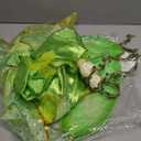 Princess Costume for Girls Princess Dress Halloween Birthday Party Outfits for Little Kids (6-7T, Tinkerbell)