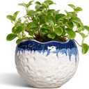 4 Inch Plant Pots - Ceramic Pots for Plants with Drainage Hole and Plug, Round Planters for Indoor Outdoor Plants, Modern Unique Flower Pots, Home Living Room Decor, Garden Gift, Beige-Blue