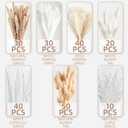 220PCS Natural Dried Pampas Grass Boho Home Decor Bouquet Phragmites Dried Flowers Bouquet for Wedding Floral Arrangements Home Decorations (220PCS)