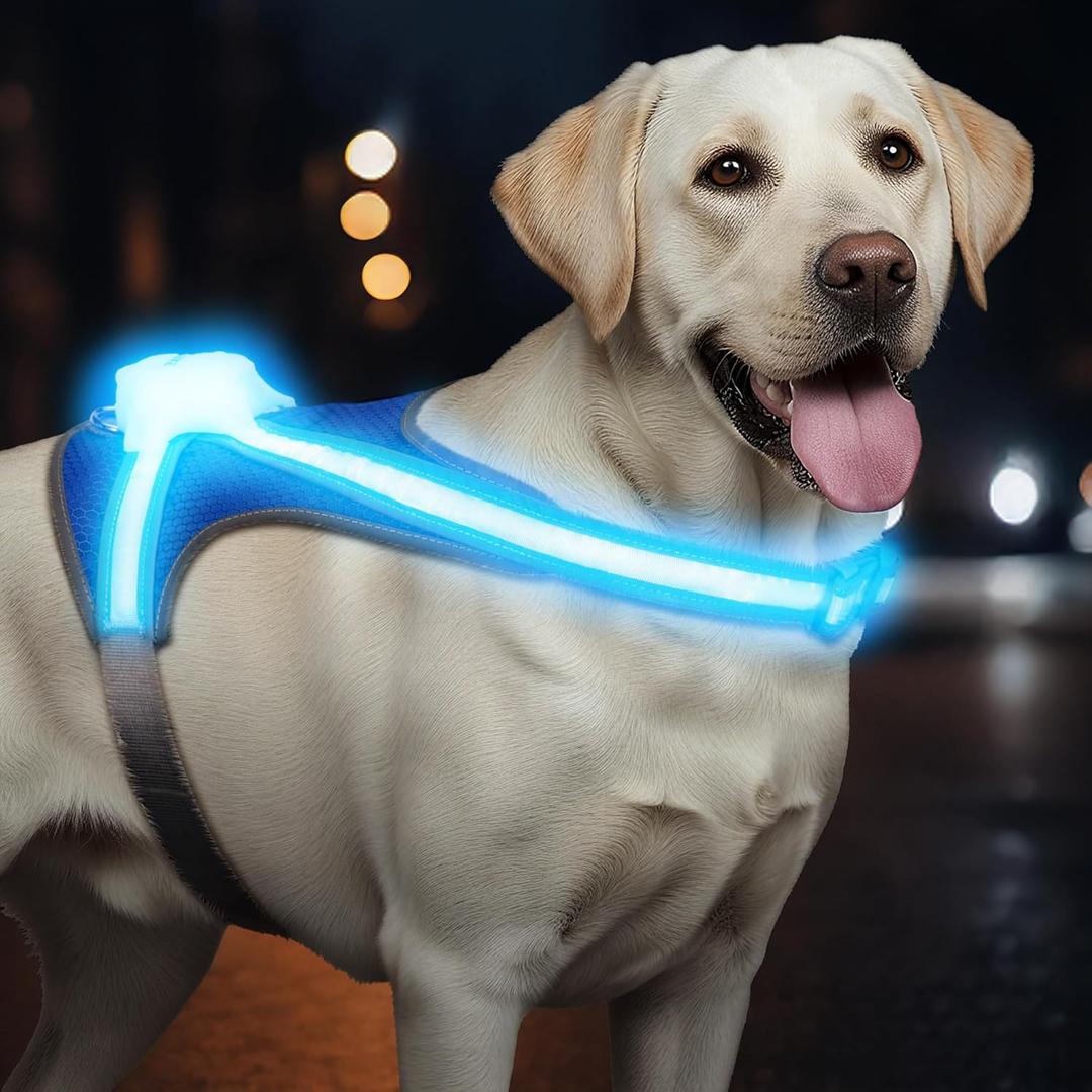 Light Up Dog Harness, Reflective Adjustable Dog Vest, No Pull Illuminated LED Harness for Dogs Night Walking Hiking Running, Waterproof,Lightweight(Large, Blue)