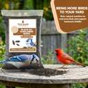 3 LB Black Oil Sunflower Seeds for Birds  Premium Wildlife & Bird Food  Grown in USA - Non-GMO - Black Oil Sunflower Seeds for Wild Birds and Backyard Feeders