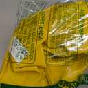 Fox Valley Traders Gaggleville Raincoat Goose Outfit, Fits Large 23" H Statue