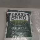 Pennington Kentucky 31 Tall Fescue Penkoted Grass Seed 7 lb