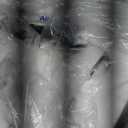 Breville Barista Express Espresso Machine BES870BSXL, Black Sesame