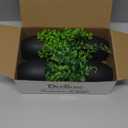 Der Rose Fake Plants 4 Packs Artificial Plants Small Faux Plants Black Bathroom Accessories for Halloween Bathroom Home Kitchen Coffee Table Office Desk Decor Indoor (Green)