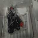 4L Beverage Cooler for Home, Pink